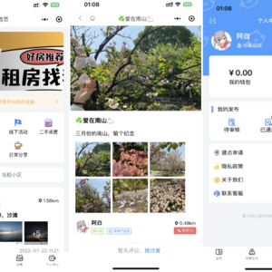 同城论坛发布社区系统源码 二手闲置 房屋出租 全开源