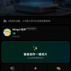 Sora2小程序源码带前端和后端